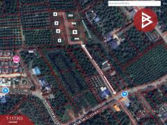 ขายที่ดิน เนื้อที่ 1 ไร่ 2 งาน 67 ตร.วา อัมพวา สมุทรสงคราม-202508101052051754797925096.jpg