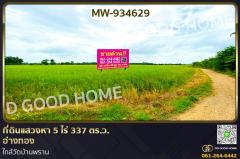 MW-934629-ที่ดินแสวงหา-5-ไร่-337-ตร.ว.-อ่างทอง-ใ