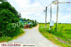 MW-934629 ที่ดินแสวงหา 5 ไร่ 337 ตร.ว. อ่างทอง ใกล้วัดบ้านพราน-202508101259051754805545763.jpg