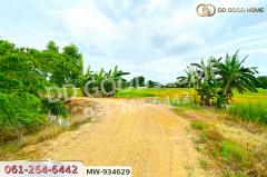 MW-934629 ที่ดินแสวงหา 5 ไร่ 337 ตร.ว. อ่างทอง ใกล้วัดบ้านพราน-202508101259061754805546378.jpg