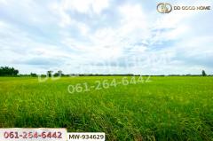 MW-934629 ที่ดินแสวงหา 5 ไร่ 337 ตร.ว. อ่างทอง ใกล้วัดบ้านพราน-202508101259061754805546977.jpg