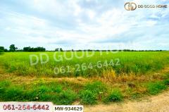 MW-934629 ที่ดินแสวงหา 5 ไร่ 337 ตร.ว. อ่างทอง ใกล้วัดบ้านพราน-202508101259071754805547544.jpg