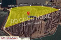 MW-934629 ที่ดินแสวงหา 5 ไร่ 337 ตร.ว. อ่างทอง ใกล้วัดบ้านพราน-202508101259081754805548151.jpg