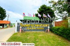 MW-934629 ที่ดินแสวงหา 5 ไร่ 337 ตร.ว. อ่างทอง ใกล้วัดบ้านพราน-202508101259091754805549313.jpg