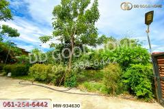 MW-934630 ที่ดินพร้อมสิ่งปลูกสร้างหัวไผ่ 1 ไร่ 78.7 ตร.ว. อ่างทอง ใกล้โรงเรียนวัดเชิงหวาย-202508101318491754806729950.jpg