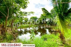 MW-934630 ที่ดินพร้อมสิ่งปลูกสร้างหัวไผ่ 1 ไร่ 78.7 ตร.ว. อ่างทอง ใกล้โรงเรียนวัดเชิงหวาย-202508101318531754806733948.jpg