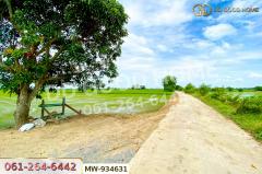 MW-934631 ที่ดินวังน้ำเย็น 19 ไร่ 46 ตร.ว. อ่างทอง ใกล้วัดหนองยาง-202508101338441754807924842.jpg