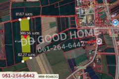 MW-934631 ที่ดินวังน้ำเย็น 19 ไร่ 46 ตร.ว. อ่างทอง ใกล้วัดหนองยาง-202508101338451754807925412.jpg
