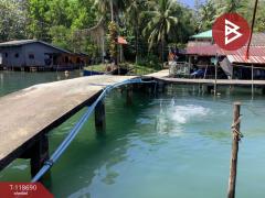 ขายที่ดินพร้อมกิจการ เนื้อที่ 2 ไร่ 3 งาน 53 ตร.วา คลองใหญ่ ตราด-202508101455521754812552988.jpg