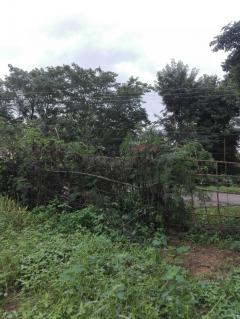 ขายถูก ที่ดินหลุดขายฝาก อ.ปักธงชัย-202508101545511754815551514.jpg