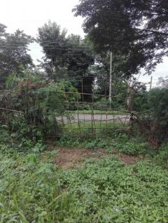 ขายถูก ที่ดินหลุดขายฝาก อ.ปักธงชัย-202508101545521754815552079.jpg