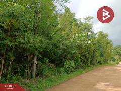 ขายที่ดินพร้อมสิ่งปลูกสร้าง เนื้อที่ 1 ไร่ 98 ตร.วา บ่อไร่ ตราด-202508101618421754817522060.jpg