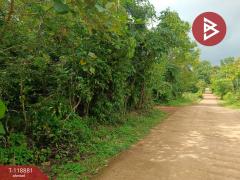 ขายที่ดินพร้อมสิ่งปลูกสร้าง เนื้อที่ 1 ไร่ 98 ตร.วา บ่อไร่ ตราด-202508101618421754817522598.jpg