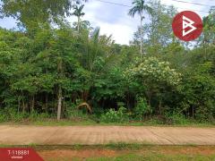 ขายที่ดินพร้อมสิ่งปลูกสร้าง เนื้อที่ 1 ไร่ 98 ตร.วา บ่อไร่ ตราด-202508101618441754817524773.jpg