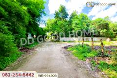 WR-994903 ที่ดินหนองนาคำ 15 ไร่ อุดรธานี ใกล้วัดป่าศิริมงคล-202508101903401754827420182.jpg