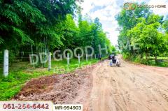 WR-994903 ที่ดินหนองนาคำ 15 ไร่ อุดรธานี ใกล้วัดป่าศิริมงคล-202508101903401754827420760.jpg