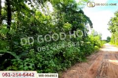 WR-994903 ที่ดินหนองนาคำ 15 ไร่ อุดรธานี ใกล้วัดป่าศิริมงคล-202508101903411754827421327.jpg