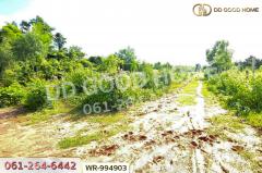 WR-994903 ที่ดินหนองนาคำ 15 ไร่ อุดรธานี ใกล้วัดป่าศิริมงคล-202508101903411754827421904.jpg