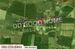 WR-994903 ที่ดินหนองนาคำ 15 ไร่ อุดรธานี ใกล้วัดป่าศิริมงคล-202508101903421754827422458.jpg