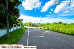 WR-994903 ที่ดินหนองนาคำ 15 ไร่ อุดรธานี ใกล้วัดป่าศิริมงคล-202508101903431754827423017.jpg