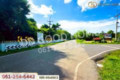 WR-994903 ที่ดินหนองนาคำ 15 ไร่ อุดรธานี ใกล้วัดป่าศิริมงคล-202508101903431754827423580.jpg