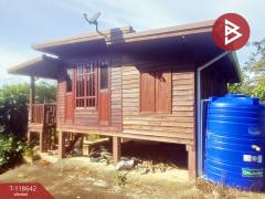 ขายที่ดิน เนื้อที่ 3 ไร่ โป่งน้ำร้อน จันทบุรี วิวทิวเขา-202508111457581754899078941.jpg