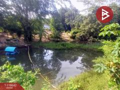 ขายที่ดิน เนื้อที่ 3 ไร่ โป่งน้ำร้อน จันทบุรี วิวทิวเขา-202508111458001754899080155.jpg