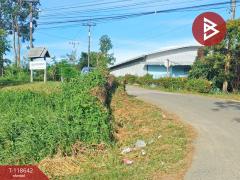 ขายที่ดิน เนื้อที่ 3 ไร่ โป่งน้ำร้อน จันทบุรี วิวทิวเขา-202508111458021754899082751.jpg