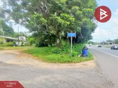 ขายที่ดิน เนื้อที่ 3 ไร่ โป่งน้ำร้อน จันทบุรี วิวทิวเขา-202508111458031754899083291.jpg