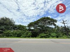 ขายที่ดิน-เนื้อที่-2-งาน-74-ตร.วา-ท่าชนะ