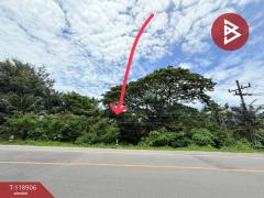 ขายที่ดิน เนื้อที่ 2 งาน 74 ตร.วา ท่าชนะ สุราษฎร์ธานี-202508111518341754900314042.jpg
