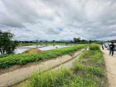 ขายที่ดิน เวียงป่าเป้า เชียงราย 2-2-63 ตร.ว.-202508111643441754905424790.jpg
