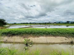 ขายที่ดิน เวียงป่าเป้า เชียงราย 2-2-63 ตร.ว.-202508111643501754905430214.jpg