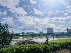 ขายที่ดิน เวียงป่าเป้า เชียงราย 2-2-63 ตร.ว.-202508111643501754905430891.jpg