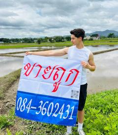 ขายที่ดิน เวียงป่าเป้า เชียงราย 2-2-63 ตร.ว.-202508111643511754905431470.jpg