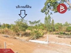 ขายที่ดิน-เนื้อที่-3-งาน-94.3-ตารางวา-โน