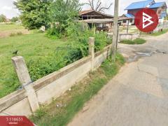 ขายที่ดิน เนื้อที่ 3 ไร่ 14.7 ตร.วา บ้านไผ่ ขอนแก่น-202508112244141754927054563.jpg