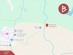 ขายที่ดิน เนื้อที่ 3 ไร่ 14.7 ตร.วา บ้านไผ่ ขอนแก่น-202508112244151754927055101.jpg
