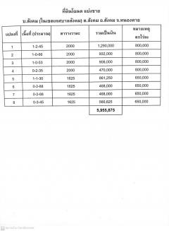 ขายที่ดินโฉนดแบ่งขาย-202508121105121754971512048.jpg
