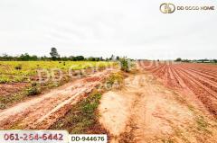 DD-944676 ที่ดินโนนสะอาด 26 ไร่ 18 ตร.ว.อุดรธานี ใกล้ที่ว่าการอำเภอโนนสะอาด-202508121323481754979828151.jpg