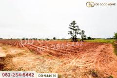 DD-944676 ที่ดินโนนสะอาด 26 ไร่ 18 ตร.ว.อุดรธานี ใกล้ที่ว่าการอำเภอโนนสะอาด-202508121323481754979828724.jpg