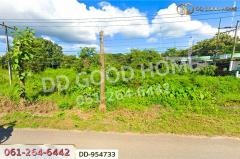 DD-954733 ที่ดินบ้านต๋อม 4 ไร่ 280.8 ตร.ว พะเยา ใกล้สถาบันวิทยาการจัดการแห่งแปซิฟิค-202508121349271754981367989.jpg