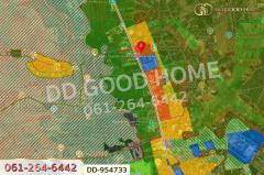 DD-954733 ที่ดินบ้านต๋อม 4 ไร่ 280.8 ตร.ว พะเยา ใกล้สถาบันวิทยาการจัดการแห่งแปซิฟิค-202508121349311754981371432.jpg