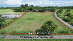 ขายที่ดิน 3 ไร่ 1 งาน มีโฉนด ถมแล้วเต็มพื้นที่ หน้ากว้าง 100 เมตร เขตชุมชน-202508121407051754982425659.jpg