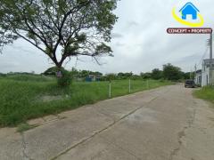 ขายที่ดิน 715 ตารางวา ซอยเฉลิมพระเกียรติ 38 เขตประเวศ