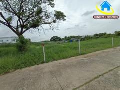 ขายที่ดิน 715 ตารางวา ซอยเฉลิมพระเกียรติ 38 เขตประเวศ-202508121547501754988470087.jpg