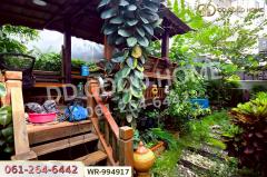 WR-994917 ทาวน์เฮ้าส์ นิวยอร์ก รังสิต คลอง 4 ธัญบุรี ปทุมธานี ใกล้ดรีมเวิลด์-202508121923391755001419731.jpg