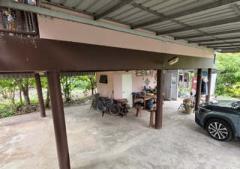 ขายบ้านสวนบรรยากาศธรรมชาติ ใกล้แยกองครักษ์–มศว.นครนายก-202508122026151755005175116.jpg