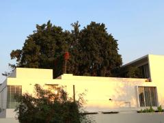 ขายโฮมออฟฟิศ 3 ชั้น 100 ตรว. 620 ตรม. พร้อมสวนกลางอาคาร ซอยพัฒนาการ 58 เขตสวนหลวง กรุงเทพ