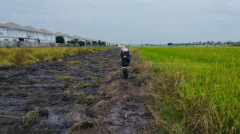ขายที่ดินลำลูกกา 20 ไร่ ติดถนน เหมาะทำจัดสรร ที่ดินลำลูกกา ปทุมธานี  -202508122204551755011095224.png